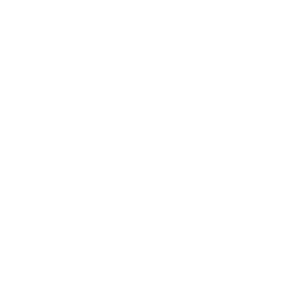 Blueline Sport Logo